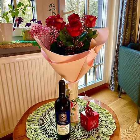 Apartment Pod Skocznia *