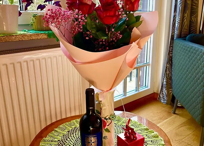 아파트 Pod Skocznia *